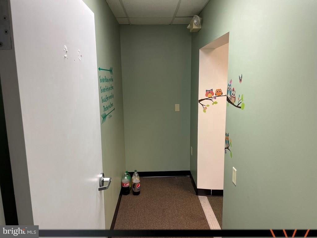 1107 W College Ave Property Photo 19