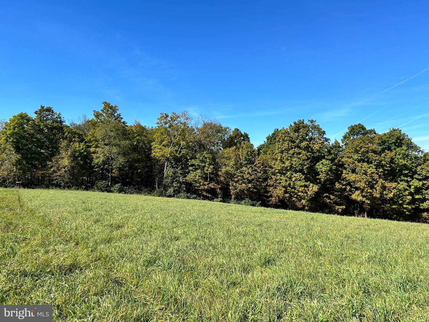 Lot #5 Linden Hall Rd Property Photo 2