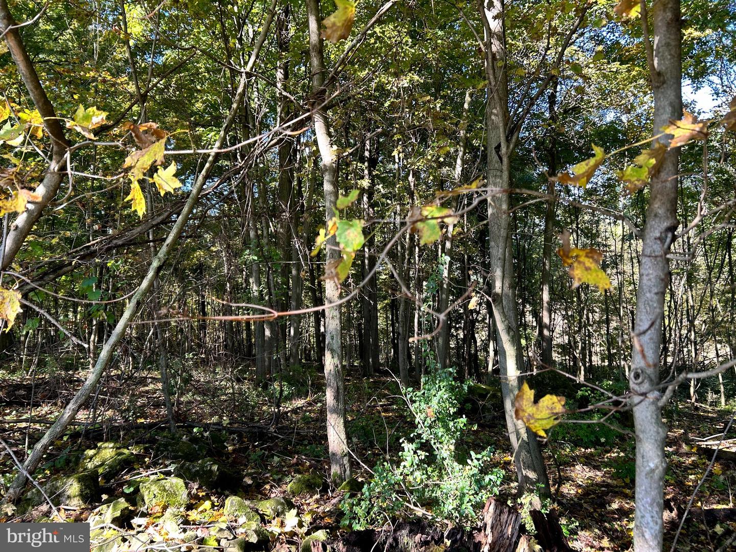 Lot #5 Linden Hall Rd Property Photo 10