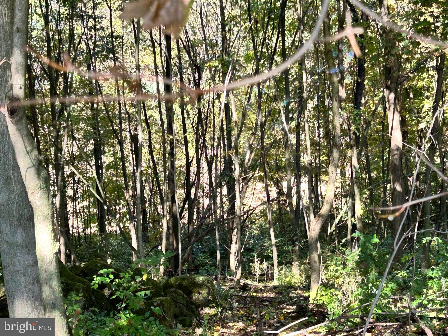 Lot #5 Linden Hall Rd Property Photo 11