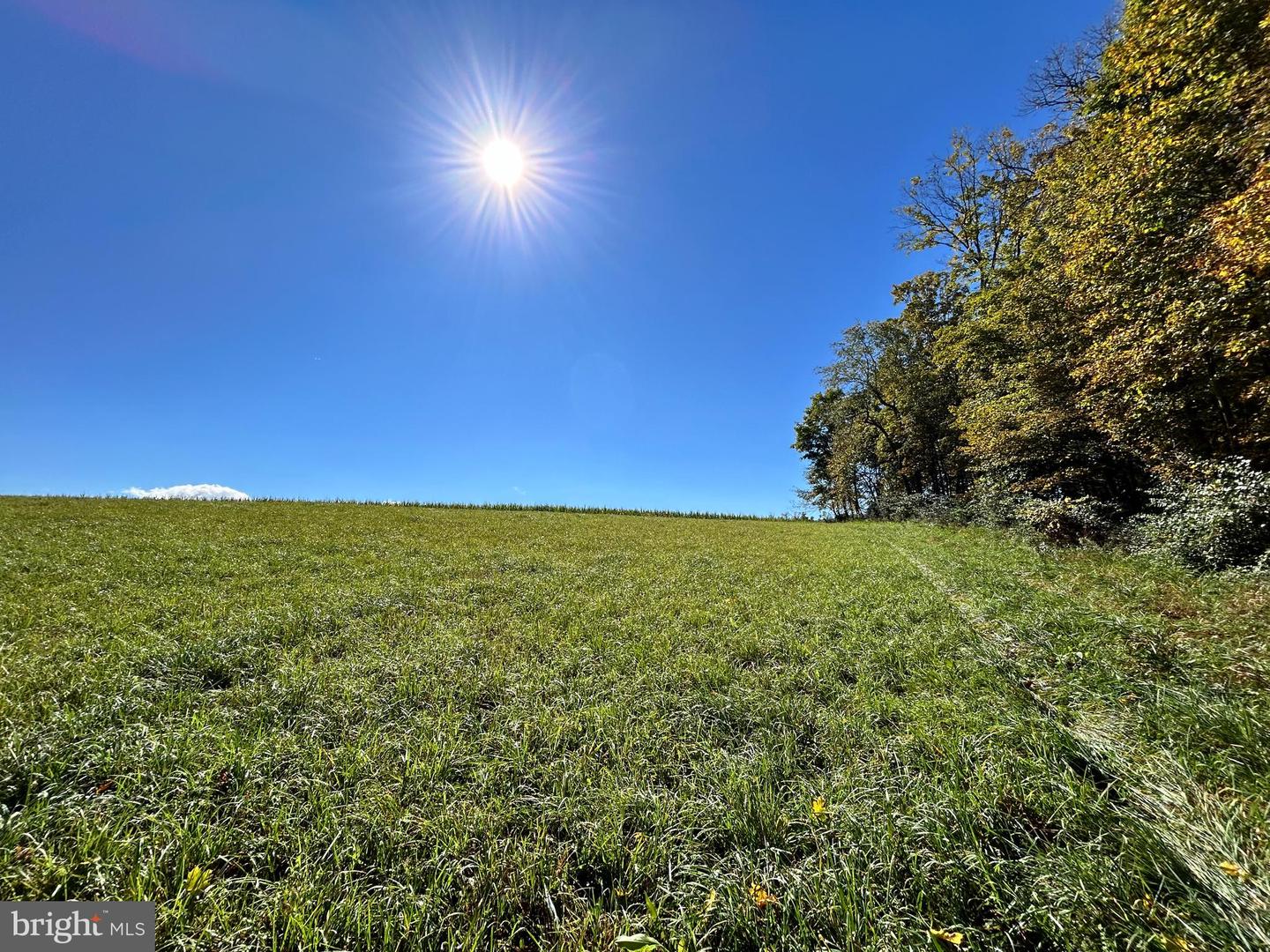 Lot #5 Linden Hall Rd Property Photo 12
