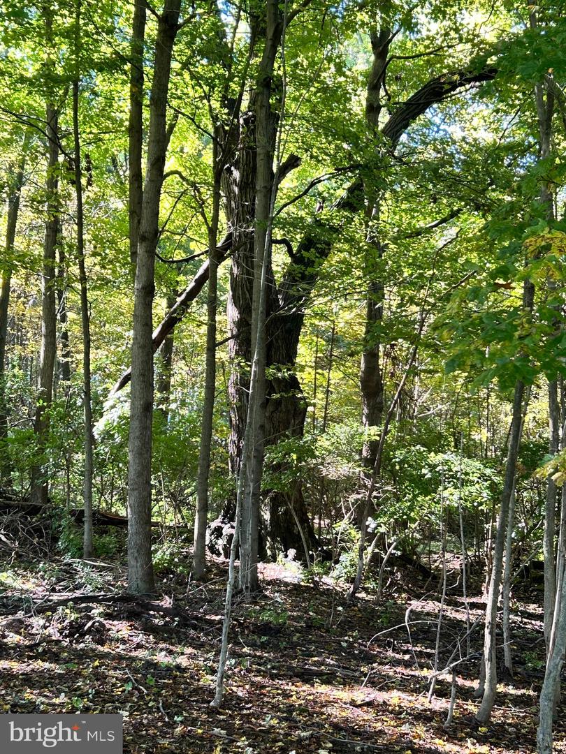 Lot #5 Linden Hall Rd Property Photo 23