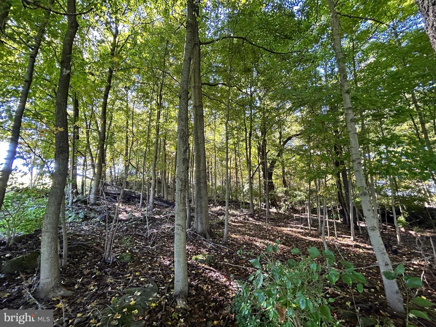 Lot #5 Linden Hall Rd Property Photo 24