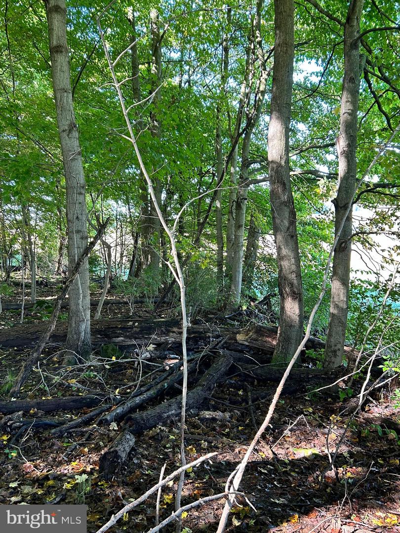 Lot #5 Linden Hall Rd Property Photo 25
