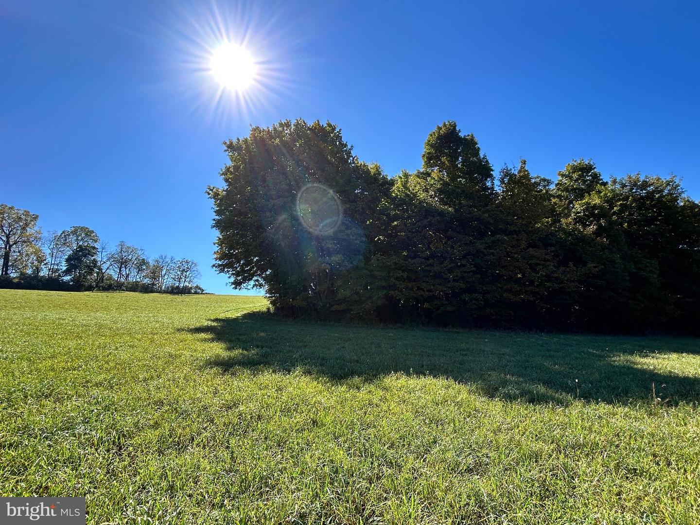 Lot #5 Linden Hall Rd Property Photo 28