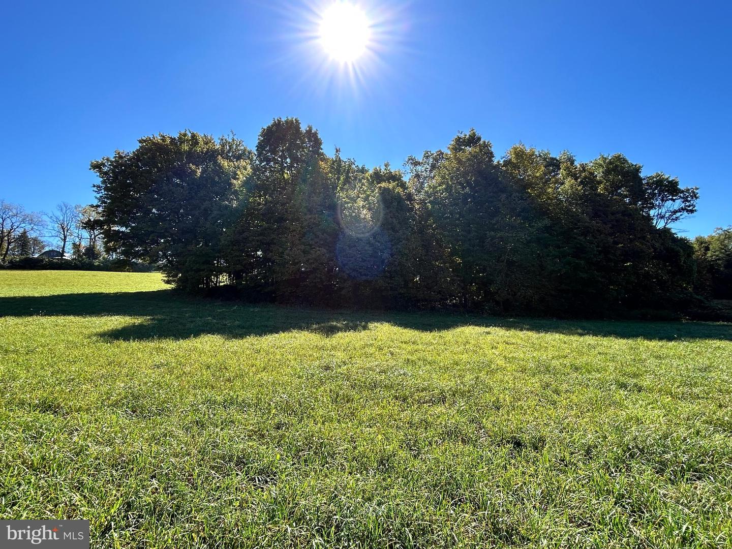 Lot #5 Linden Hall Rd Property Photo 29