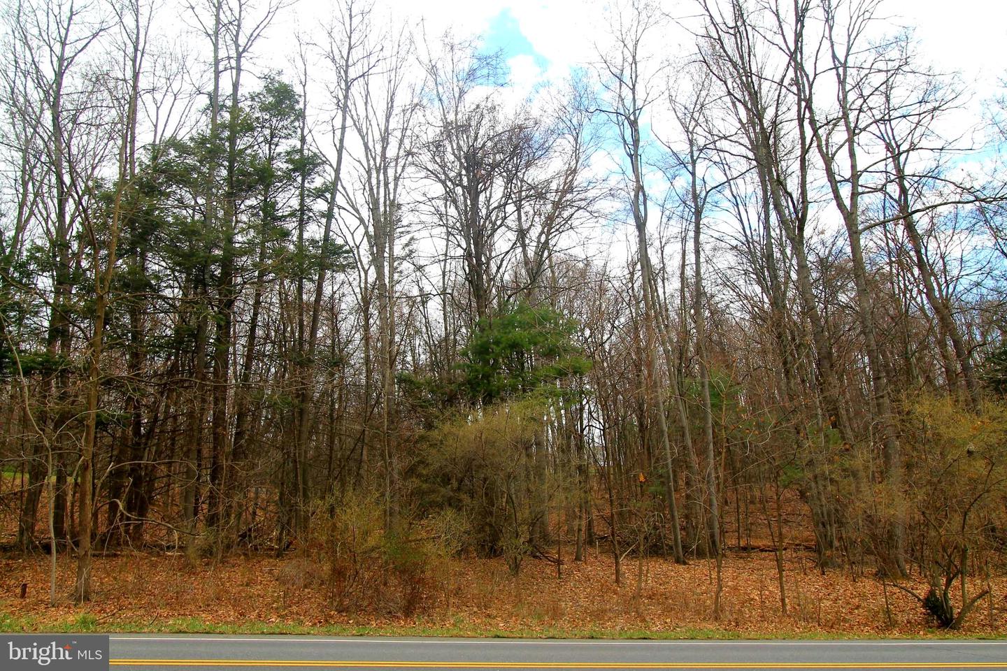 Lot On Two Mile Road Property Photo 1