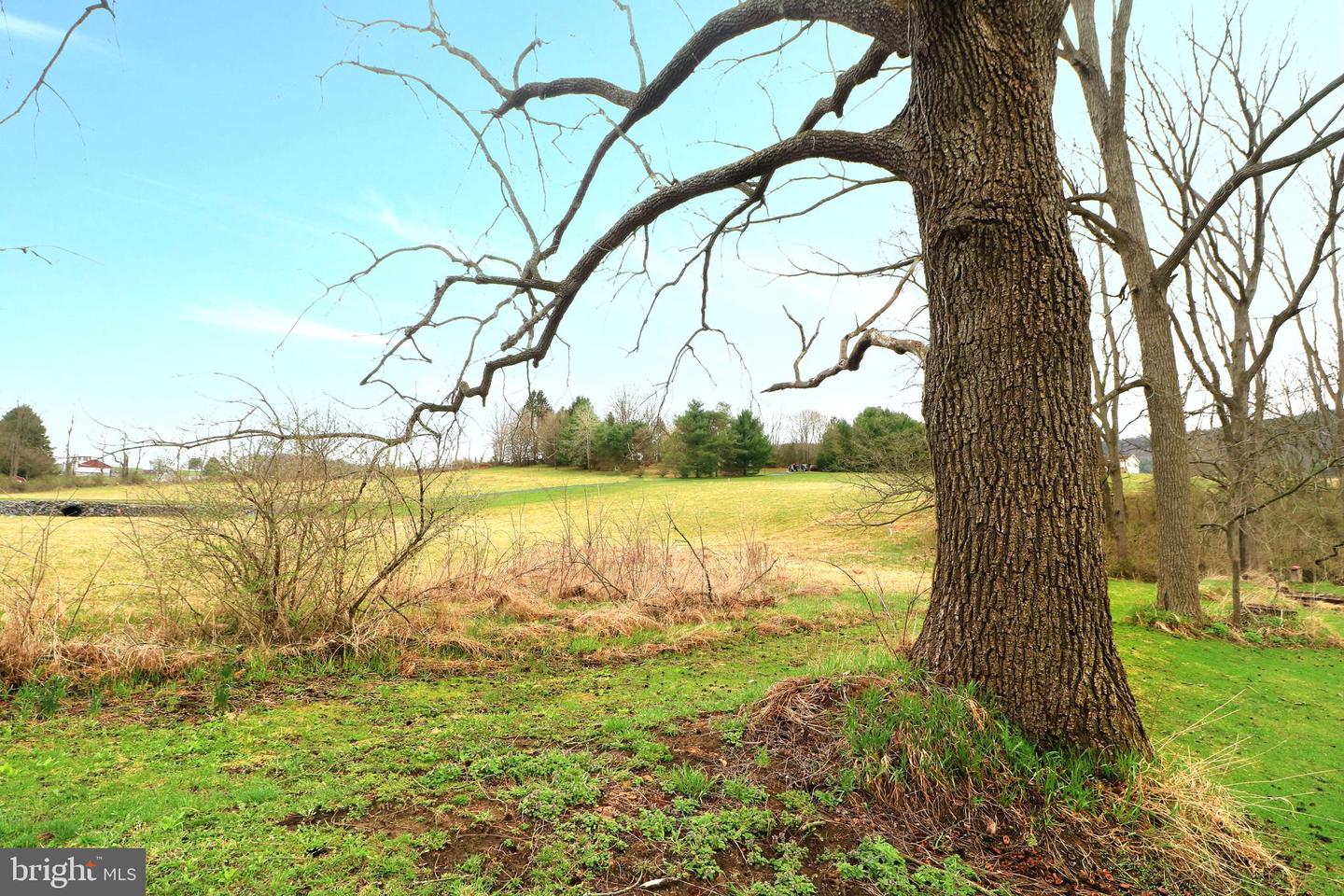 Lot On Buffalo Run Rd Property Photo 36