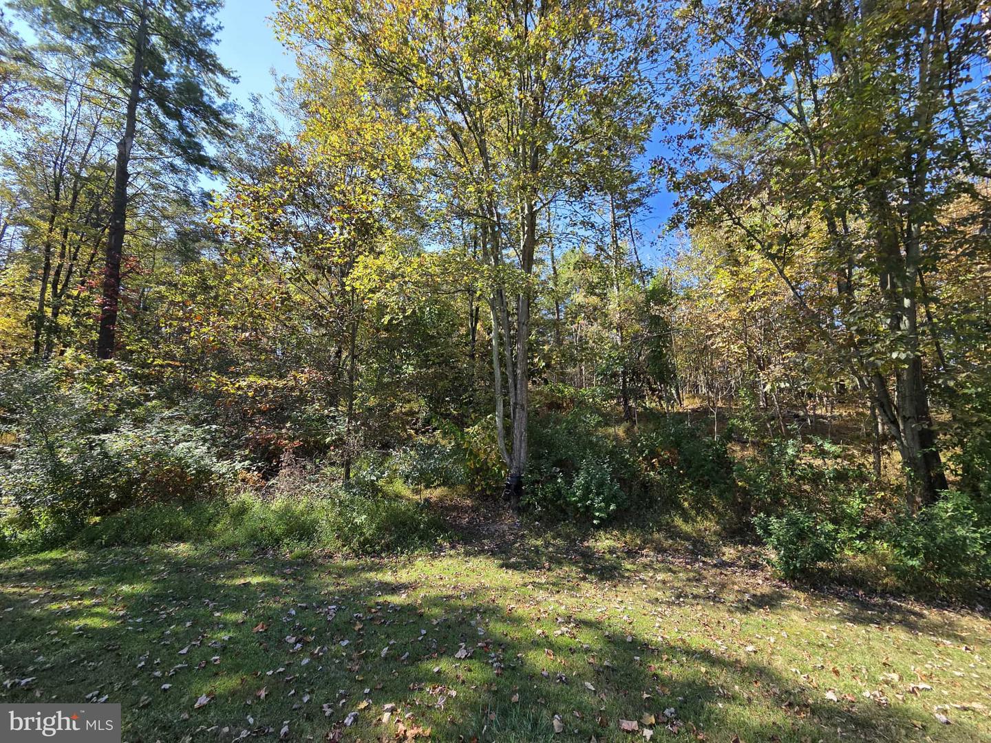 198 N Hunter Run Rd Property Photo 75