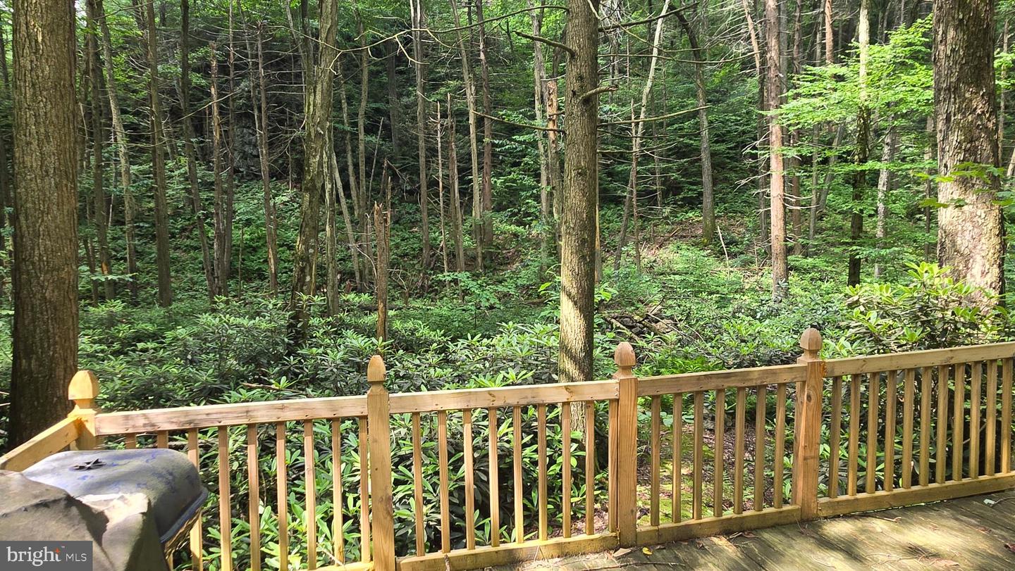 212 Thickhead Mountain Rd Property Photo 4