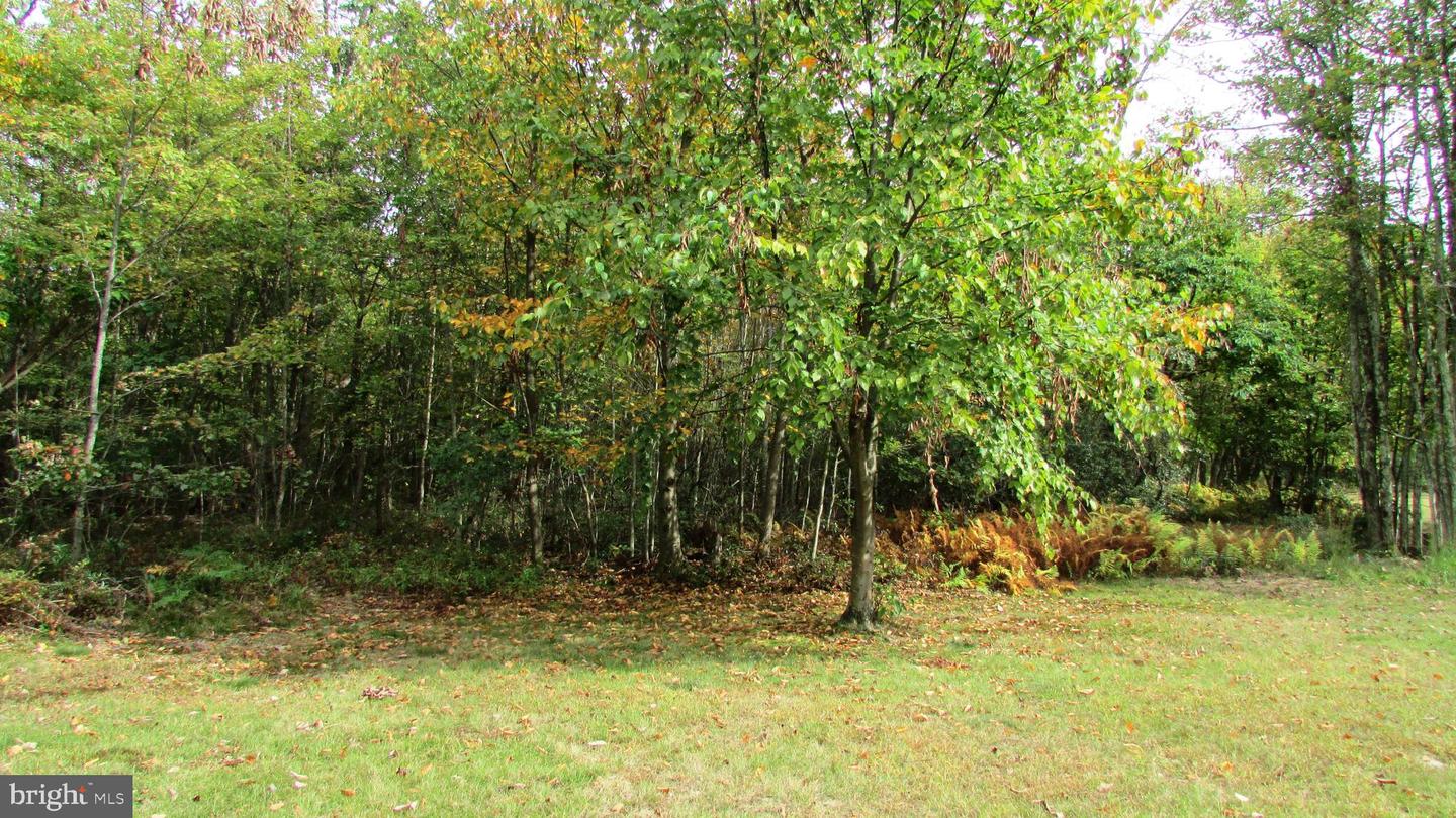 105 Big Run Rd Property Photo 26
