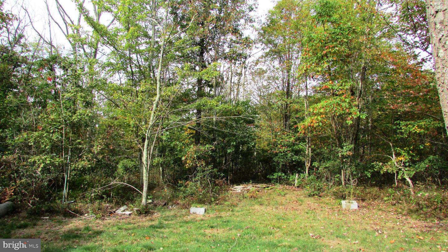 105 Big Run Rd Property Photo 27