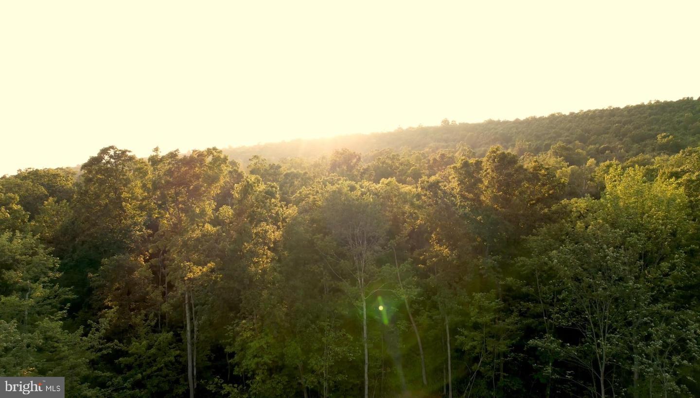 Lot 1 On Decker Valley Rd Property Photo 8