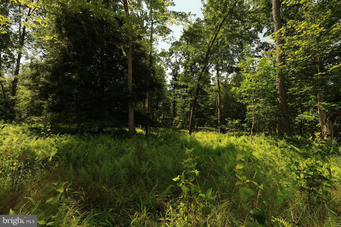 Lot 1 On Decker Valley Rd Property Photo 10