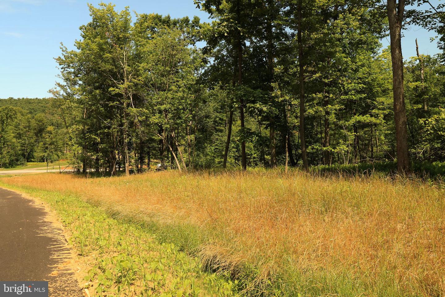 Lot 1 On Decker Valley Rd Property Photo 11