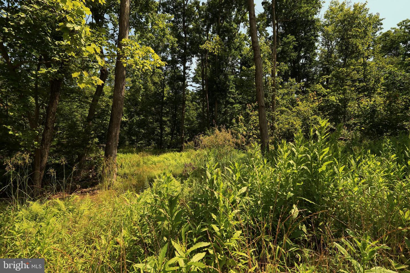 Lot 1 On Decker Valley Rd Property Photo 13