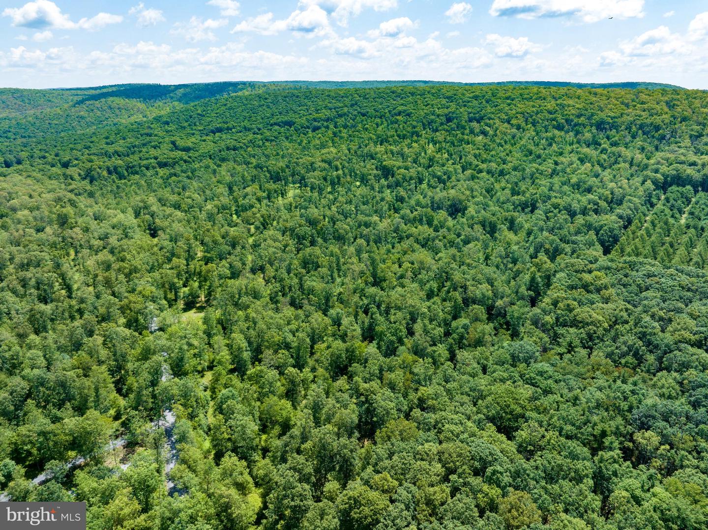 Lot 1 On Decker Valley Rd Property Photo 17