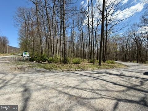 Lot On S Mountain Rd Property Photo 2