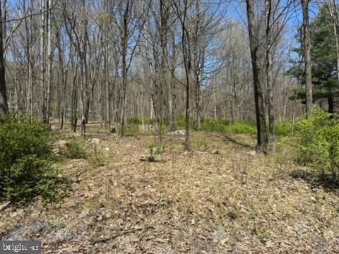 Lot On S Mountain Rd Property Photo 3