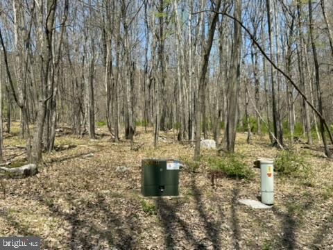 Lot On S Mountain Rd Property Photo 4