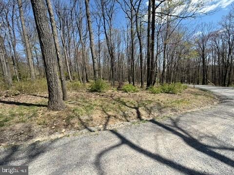 Lot On S Mountain Rd Property Photo 5