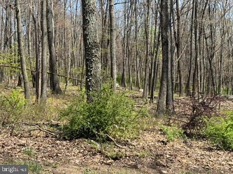 Lot On S Mountain Rd Property Photo 6