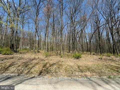 Lot On S Mountain Rd Property Photo 7