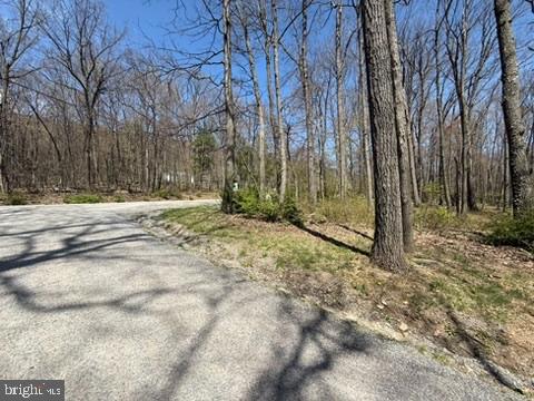 Lot On S Mountain Rd Property Photo 8