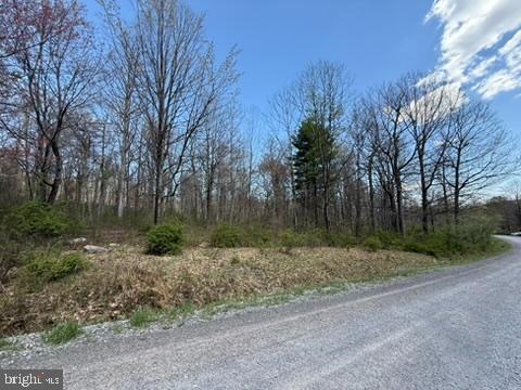 Lot On S Mountain Rd Property Photo 9