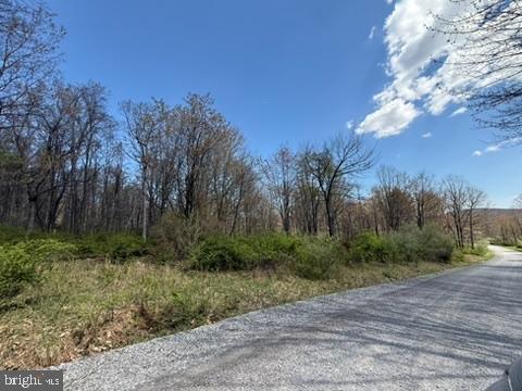 Lot On S Mountain Rd Property Photo 10