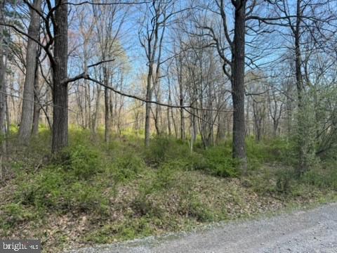 Lot On S Mountain Rd Property Photo 11