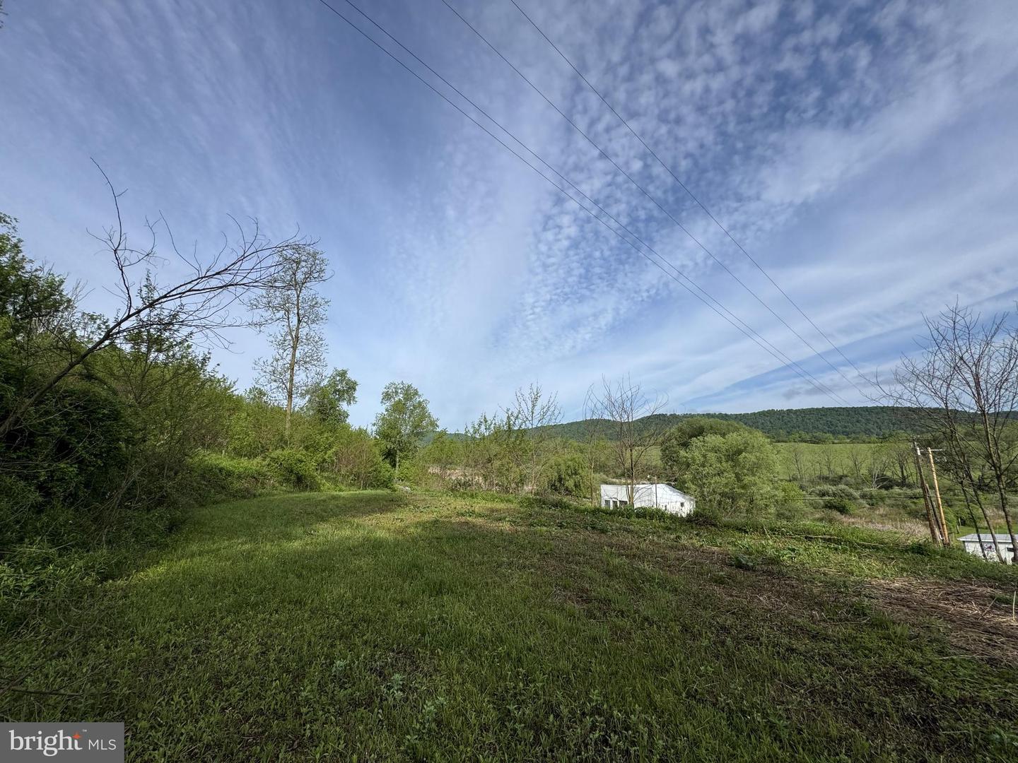 2781 Buffalo Run Rd Property Photo 3