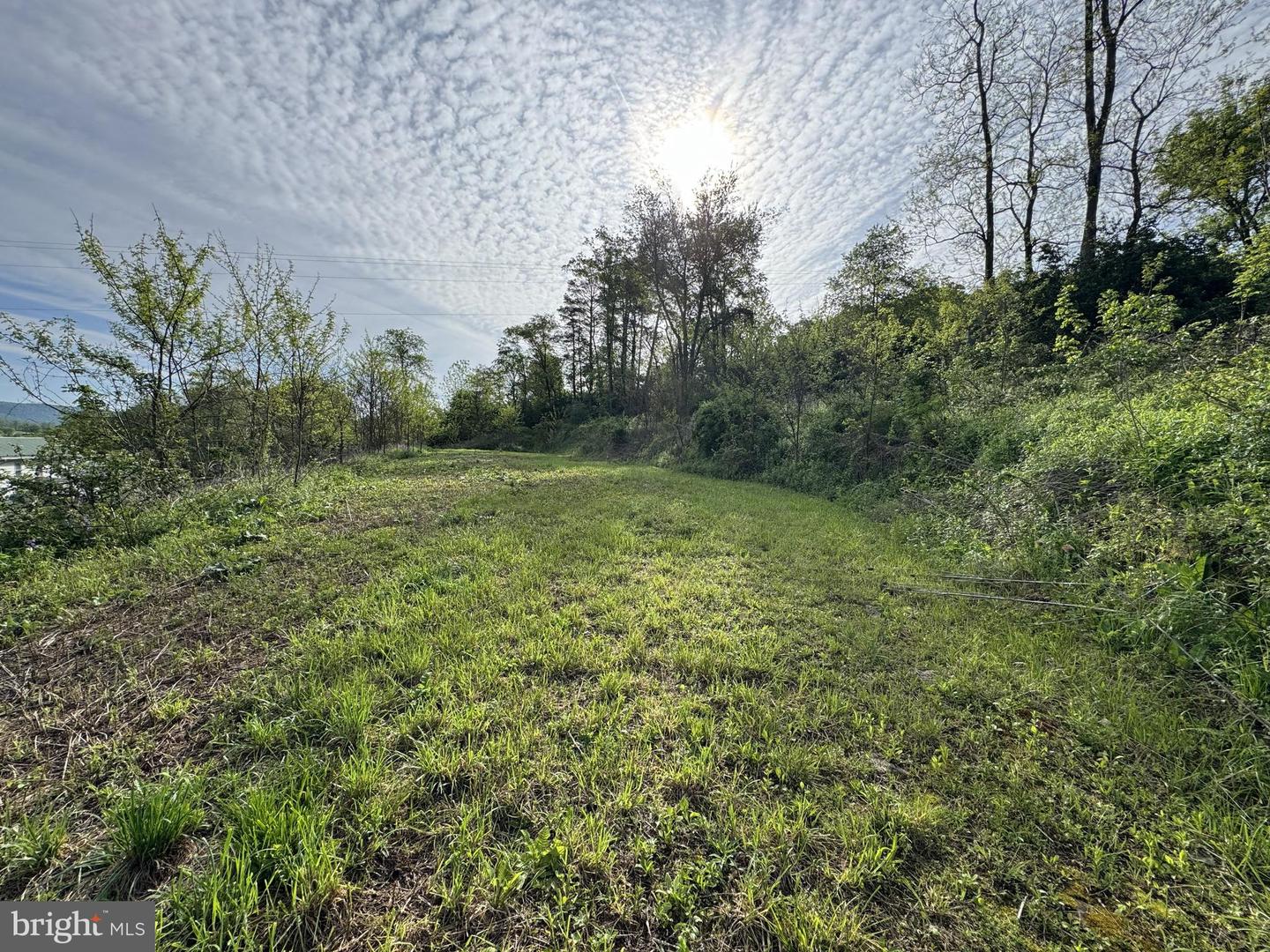2781 Buffalo Run Rd Property Photo 4