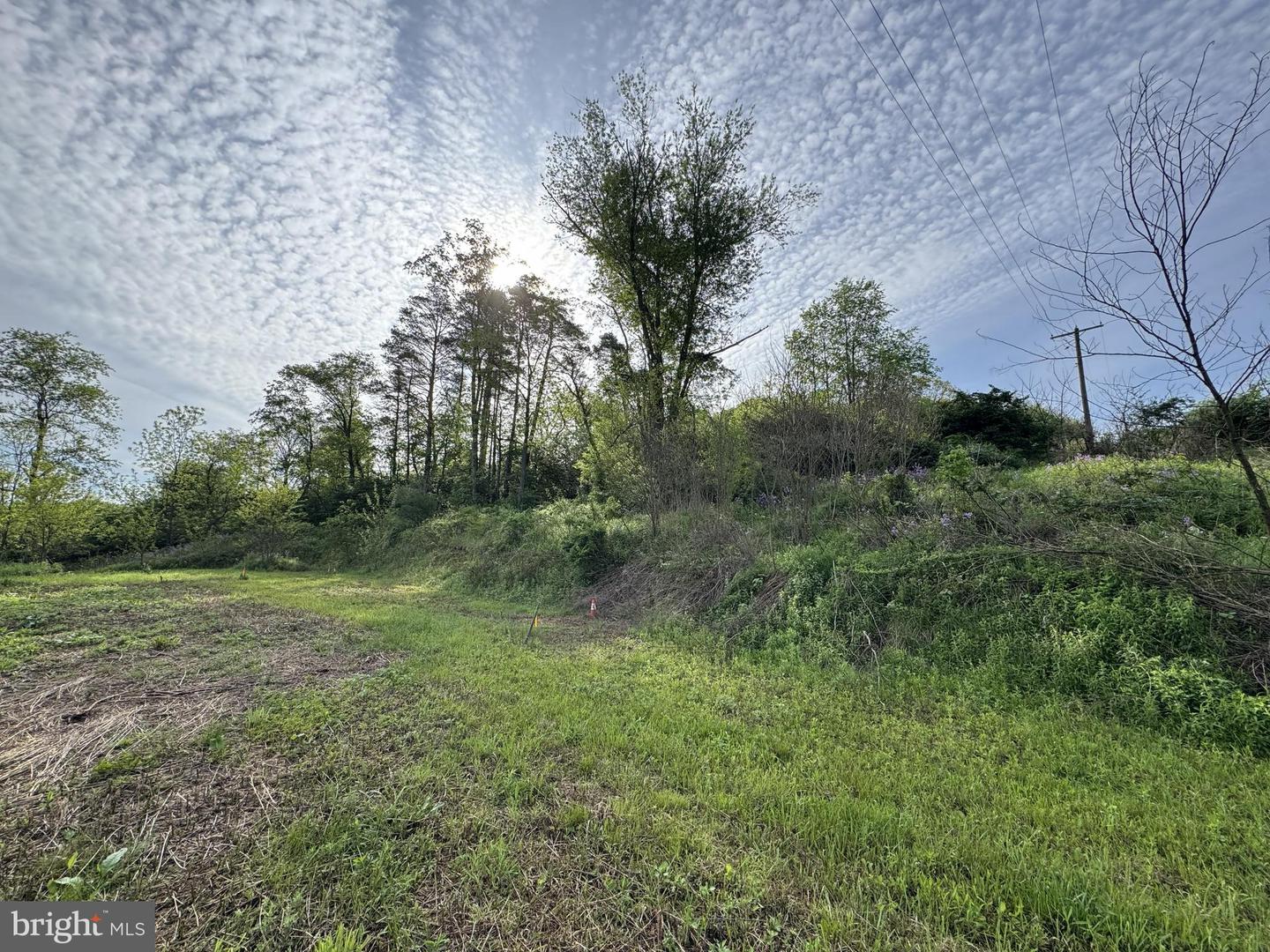 2781 Buffalo Run Rd Property Photo 5