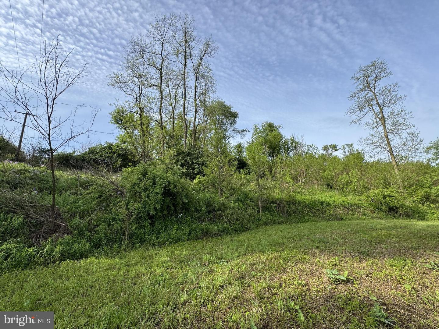 2781 Buffalo Run Rd Property Photo 6