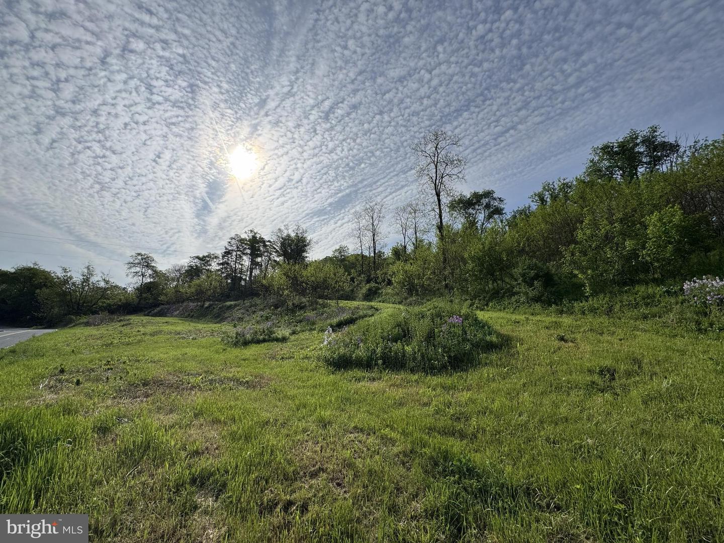 2781 Buffalo Run Rd Property Photo 17