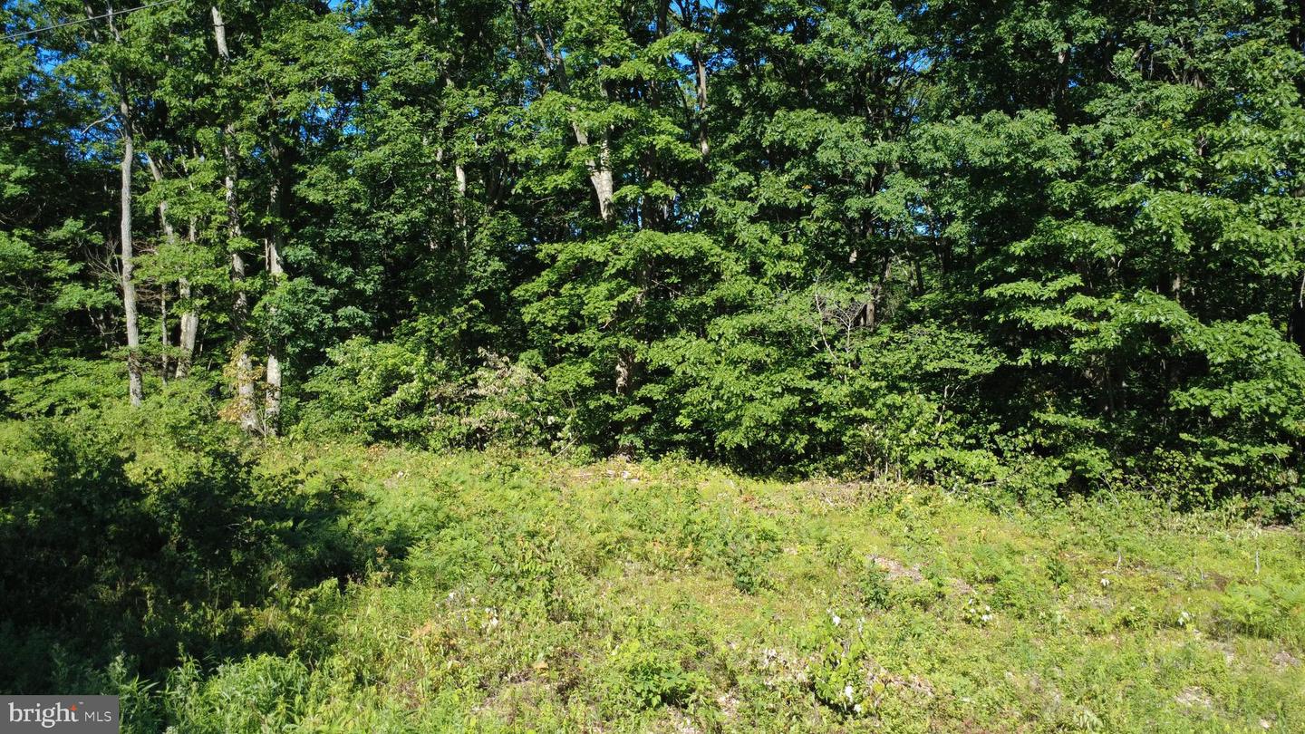 0 MAPLEWOOD DR Property Photo 1