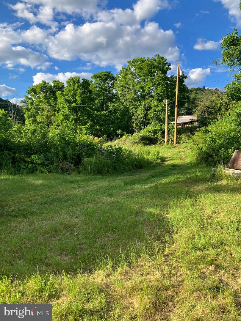 198 Gum Stump Rd Property Photo 9