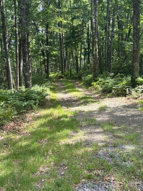 557 Eleven Rd Property Photo 18