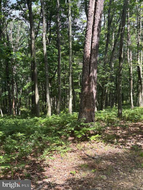 557 Eleven Rd Property Photo 19