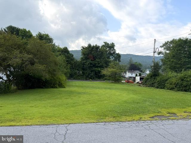 Lot On Corner Of Centre St & Plum Alley Property Photo 1