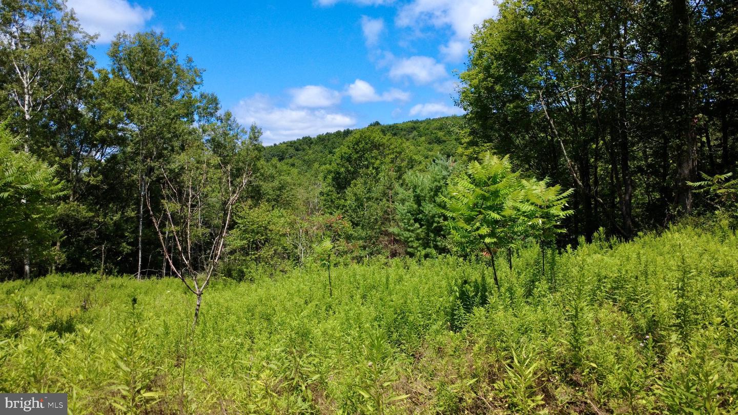 0 Pancake Rd Property Photo 1