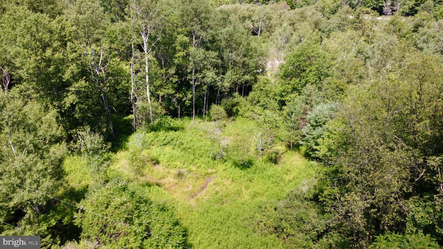 0 Pancake Rd Property Photo 3