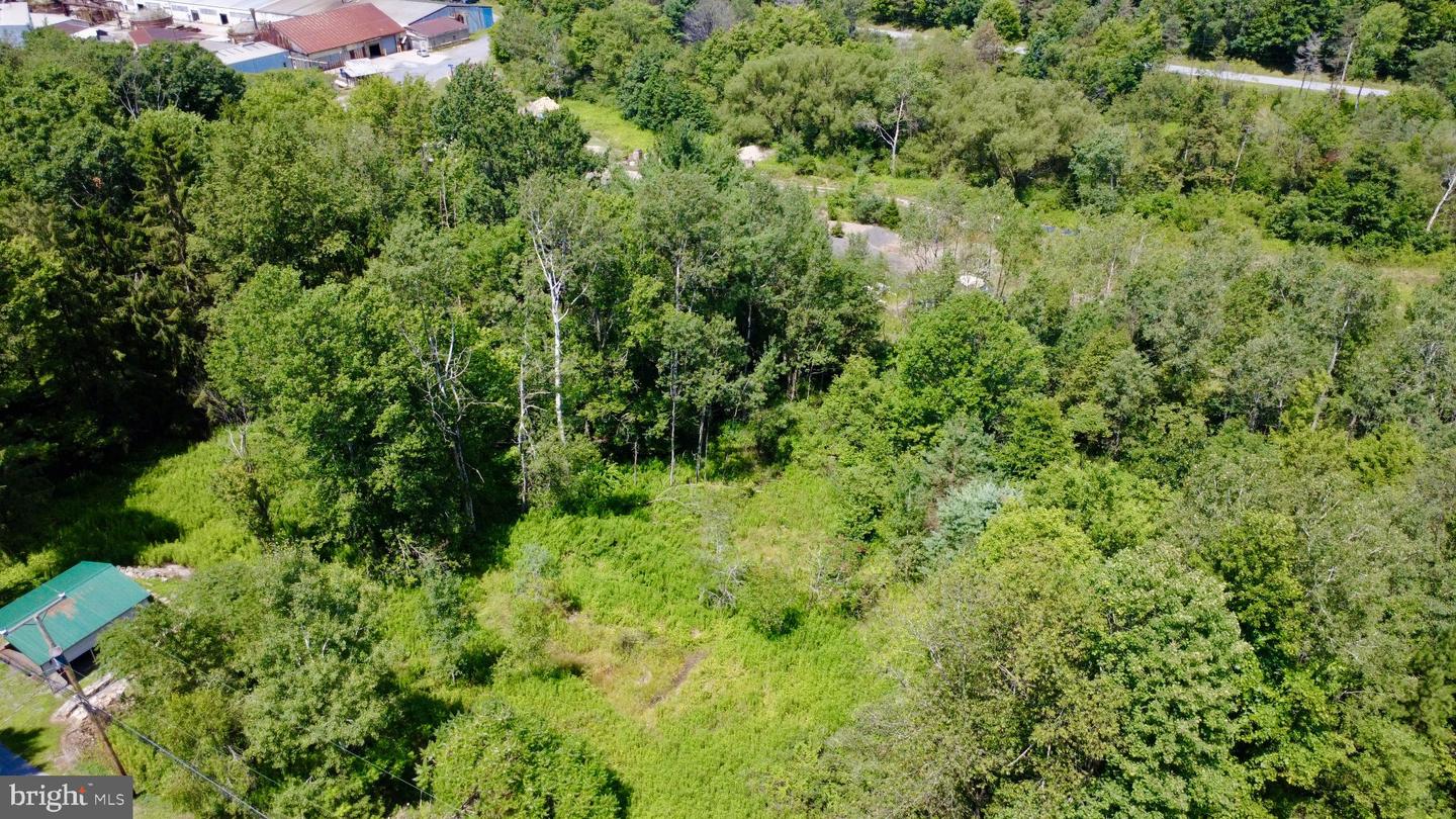 0 Pancake Rd Property Photo 6
