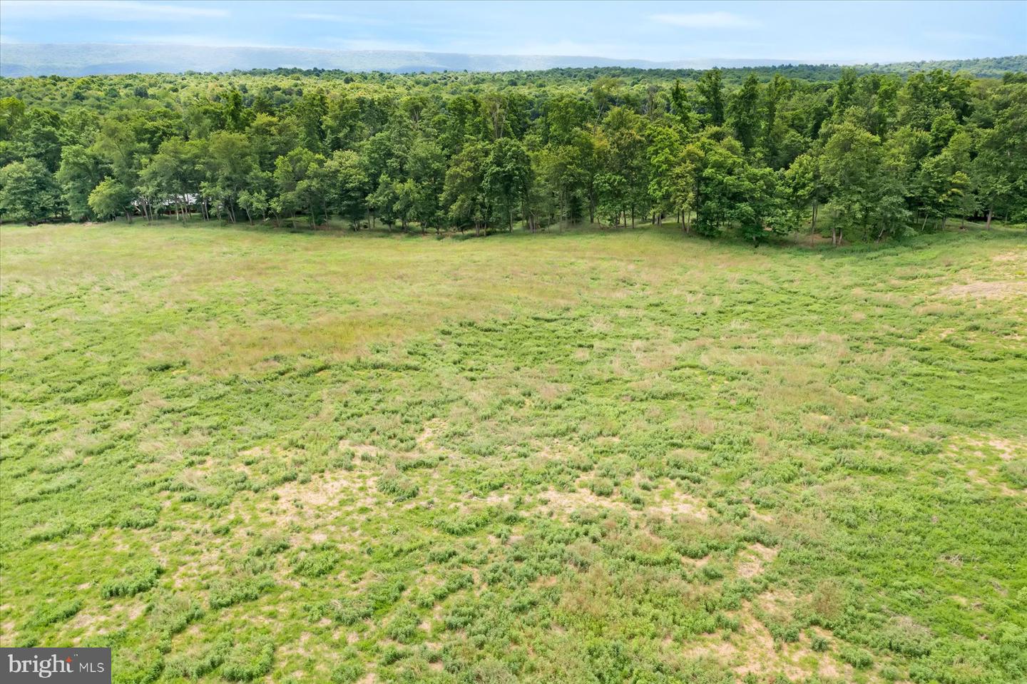 768 Dry Hollow Rd Property Photo 53