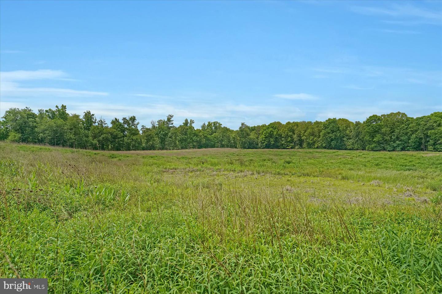 768 Dry Hollow Rd Property Photo 57