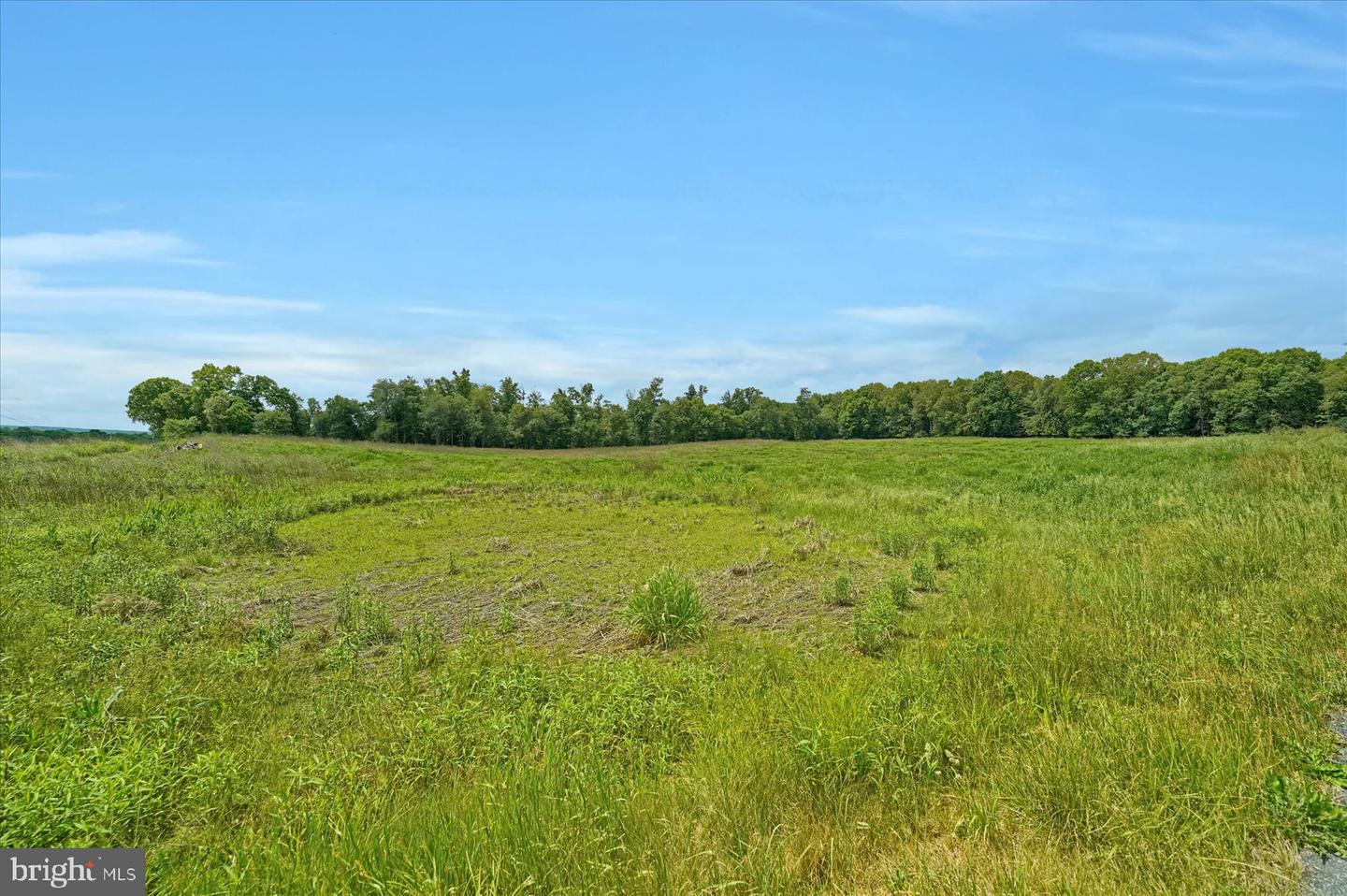 768 Dry Hollow Rd Property Photo 58