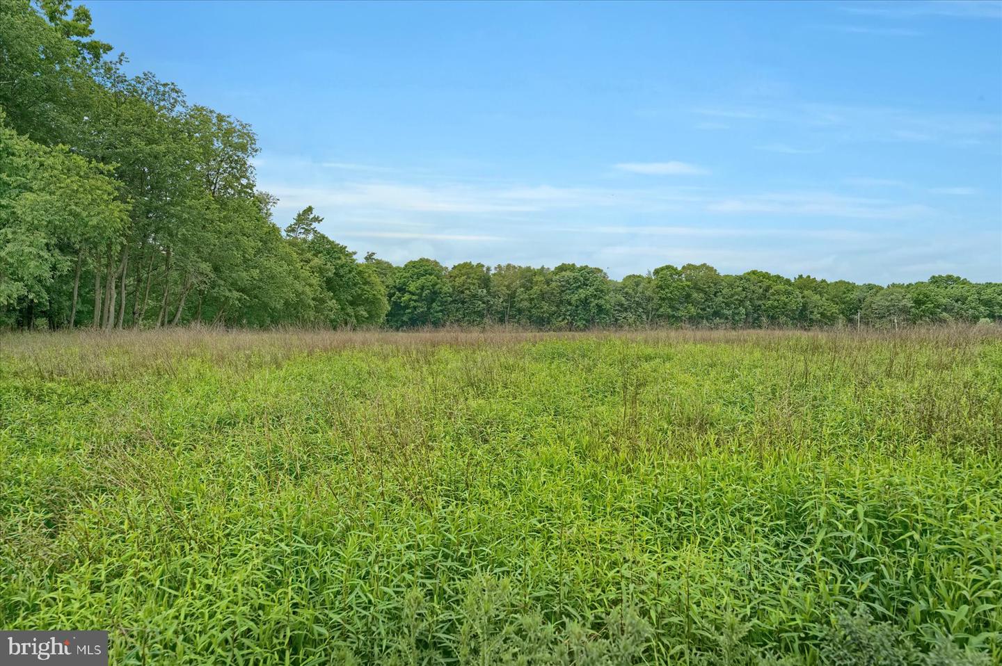 768 Dry Hollow Rd Property Photo 59