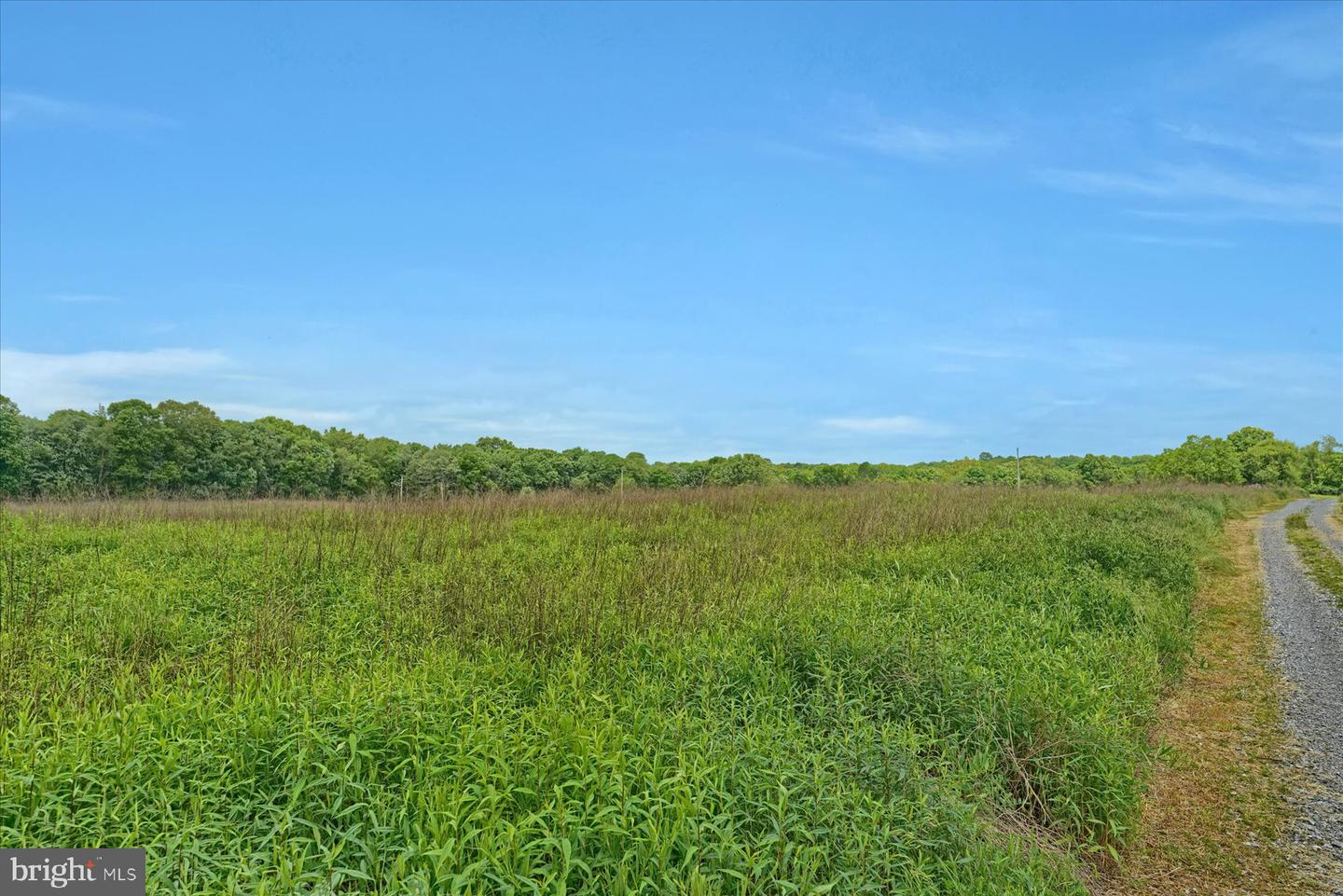 768 Dry Hollow Rd Property Photo 60
