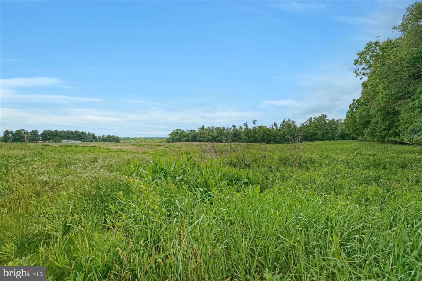 768 Dry Hollow Rd Property Photo 61